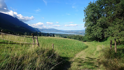Haras du Murger photo
