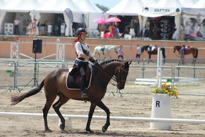 Haras Du Soleil photo