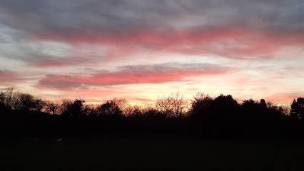 Haras l'Étoile Du Matin photo