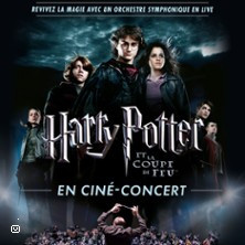 Harry Potter et la Coupe de Feu en Ciné-Concert photo