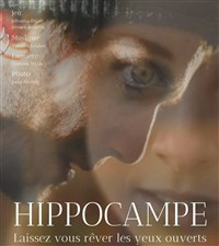 Hippocampe photo
