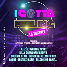 I Gotta Feeling - La Tournée photo