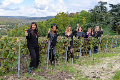 Instants - Exclusive Champagne Tours photo