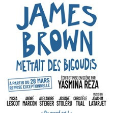 James Brown Mettait des Bigoudis - Théâtre Marigny, Paris photo