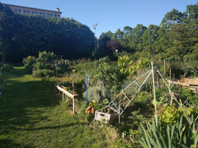Jardin Clara Zetkin photo