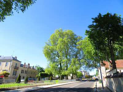 Jardin de la Légion d'Honneur photo