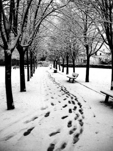 Jardin Des Fontaines photo