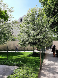 Jardin des Rosiers Joseph Migneret photo