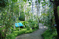 Jardin du Conservatoire Botanique National de Brest photo