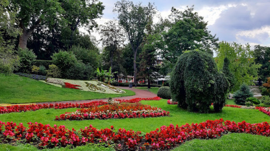 Jardin Lecoq photo