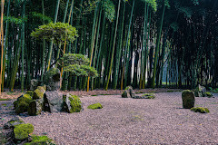Jardin Les Bambous De Planbuisson photo