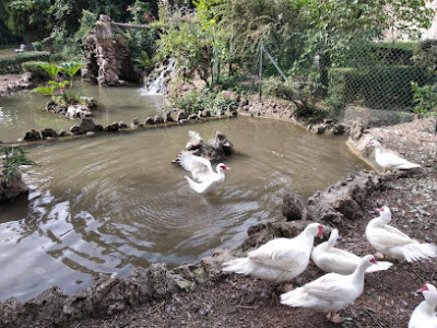 Jardin public photo