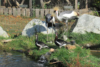 Jardin Zoologique Bellachon photo