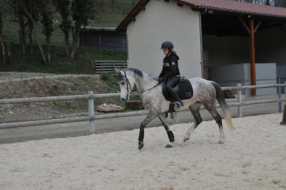 Julia Levi, équitation holistique photo