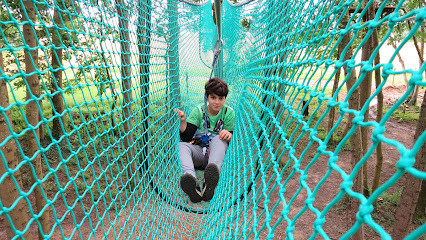 Jumping Forest, parc de loisirs et accrobranche photo