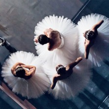 Junior - Company du Ballet de l'Opéra de Paris - Château de Versailles photo