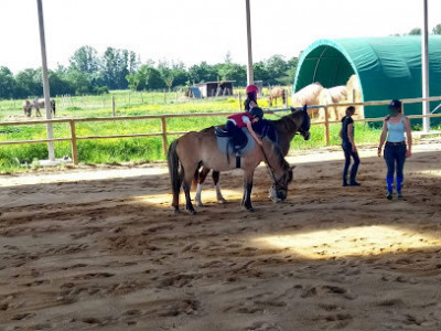 L Ecurie Des As photo