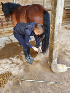 L Epinette de Boisemont photo