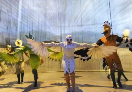 LA CONFÉRENCE DES OISEAUX photo