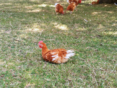 La ferme au fil des Saisons photo