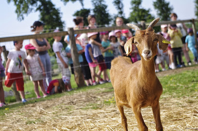 La Ferme de Kémo (uniquement sur réservation) photo