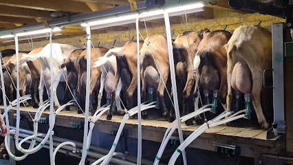 La Ferme de la Biquetière photo