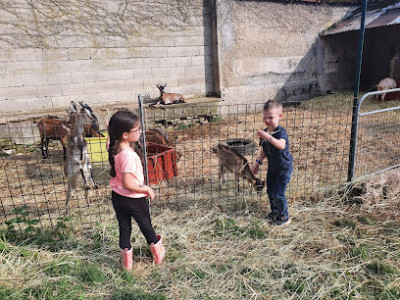 La Ferme de la Vesle photo