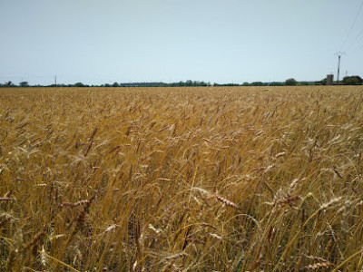 La Ferme du Bois du Treuil photo