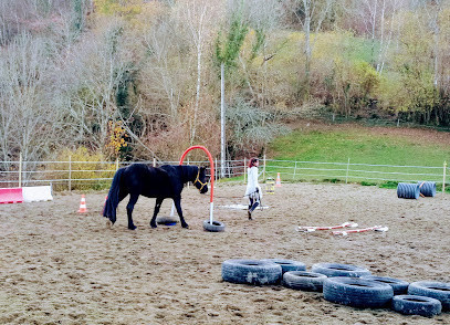 La Ferme du Poney Fringant photo