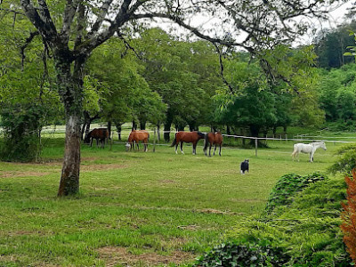 La ferme équestre du château photo