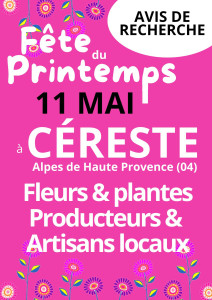 La fête du printemps photo