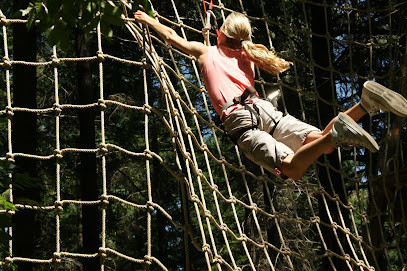 La Forêt de l'Aventure - accrobranche photo