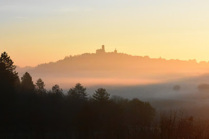 La Maison du Visiteur - visites de Vézelay photo