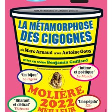 La Métamorphose des Cigognes - La Pépinière Théâtre, Paris photo