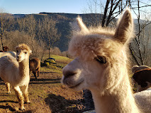 La montagne des Lamas photo