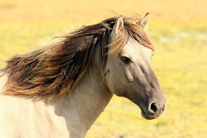 La Neyette photo