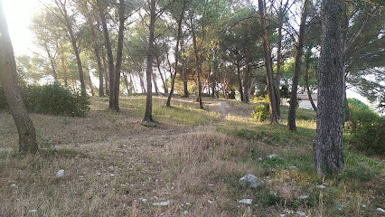 La Pinède, parcours de santé photo