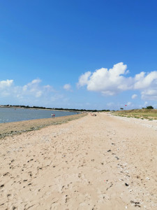 La Plage d'Aytre photo