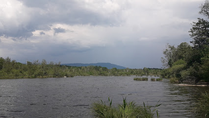 Lac d'Arandon photo