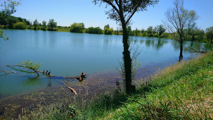 Lac de Beaupuy photo