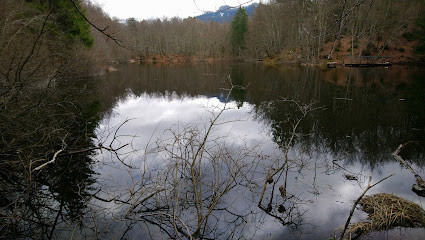Lac de la Beunaz photo
