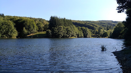 Lac de la Raviège photo