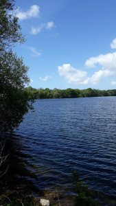 Lac de Pontavennec photo