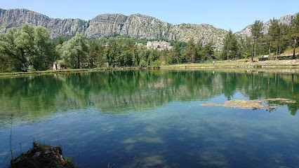 Lac de Saint-Auban photo