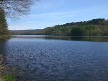 Lac de Saint-Pardoux photo