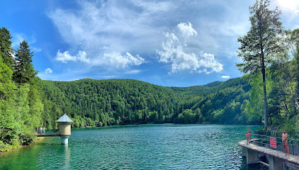 Lac du Ballon photo