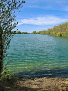 Lac du Bocage photo