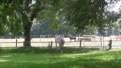 Ladhuie Équitation photo