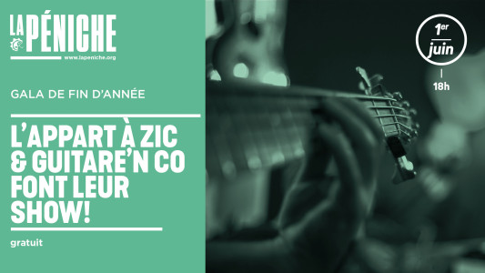 L'Appart à Zik et Guitare N'Co Font Leur Show ! photo
