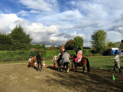 L'Arbre à Poneys photo